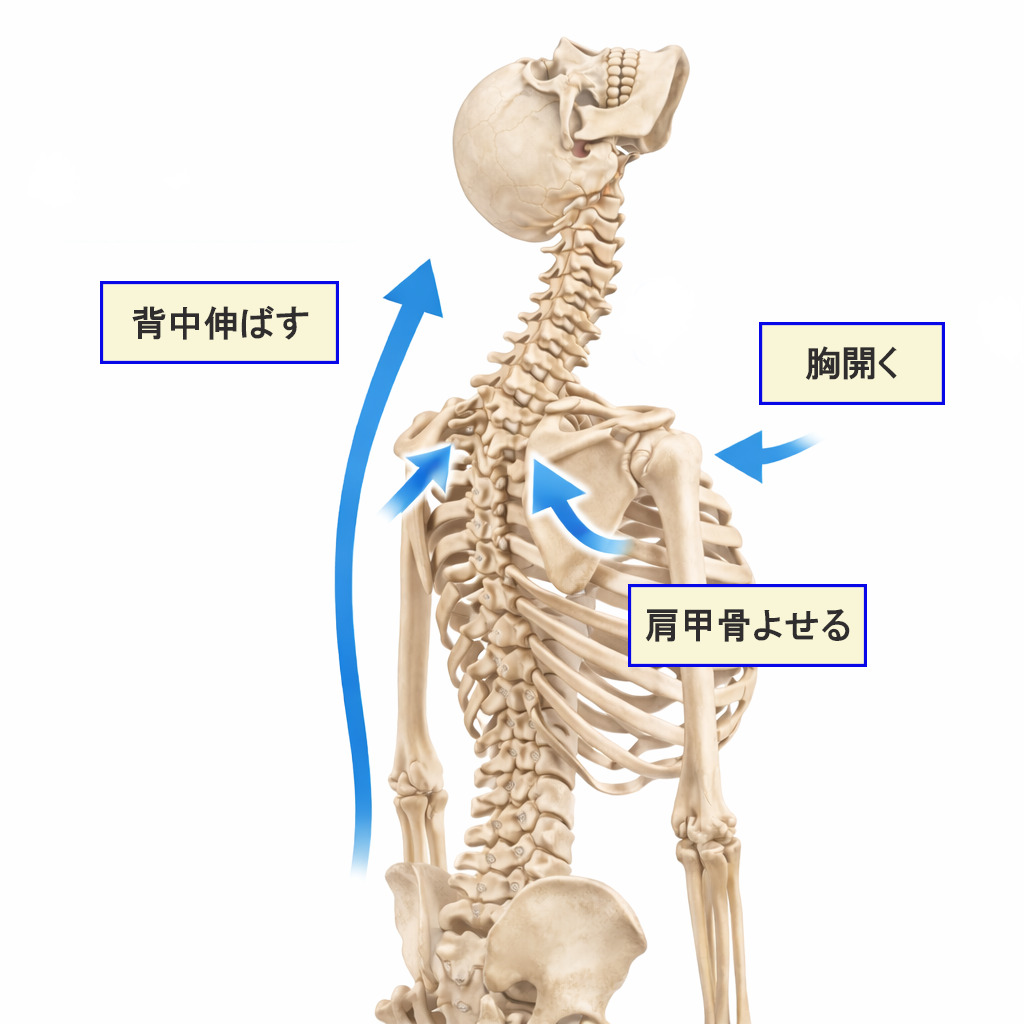 上を向くときの正しい姿勢のポイント